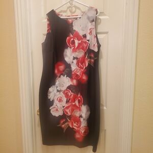 Calvin Klein Black and White Sheath Dress